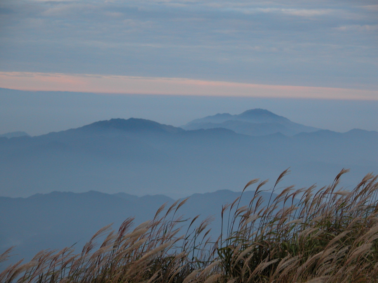 47.jpg