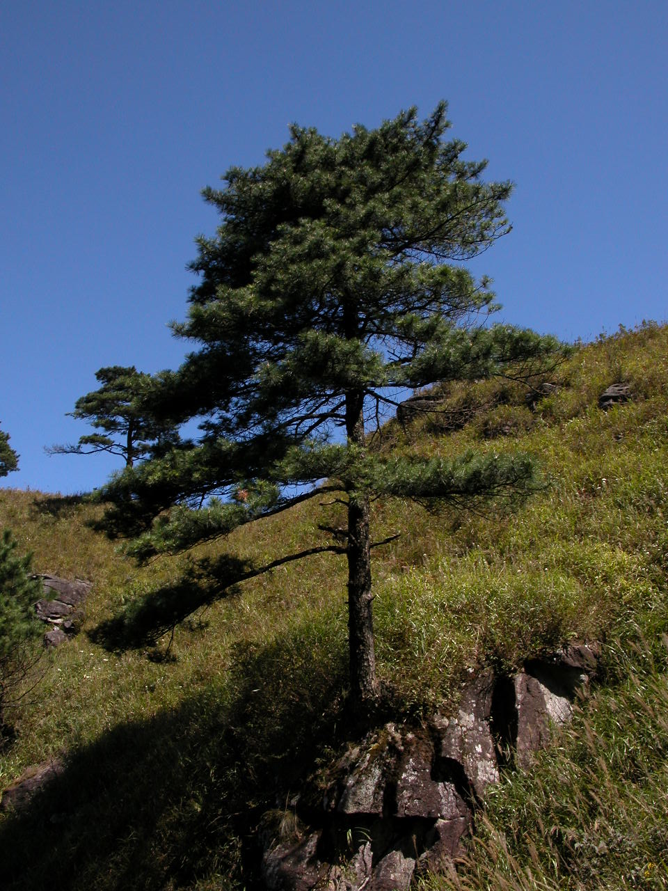 74.jpg