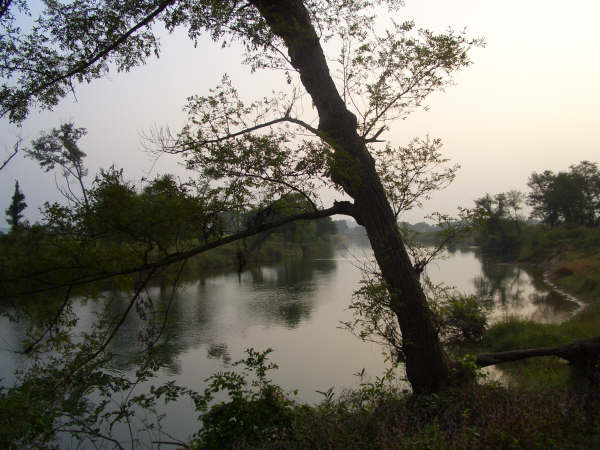 泸水河