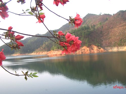 武功湖风光[图组转贴]