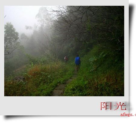 去武功山主峰的路线:安福--图坪--三天门
