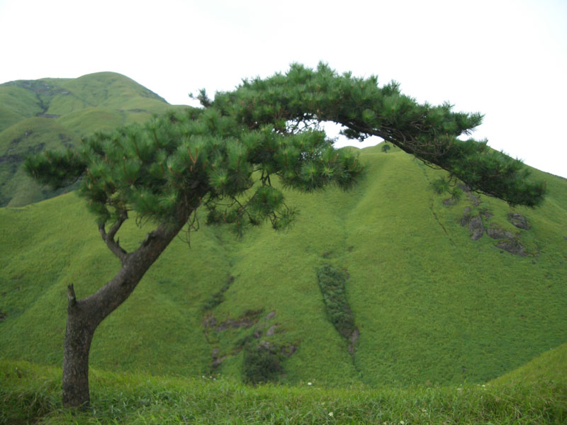 武功山世界旅游小姐赛拾影
