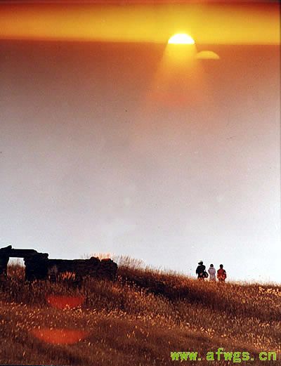 pq79_1.jpg