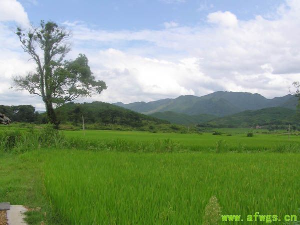洞外风光.jpg