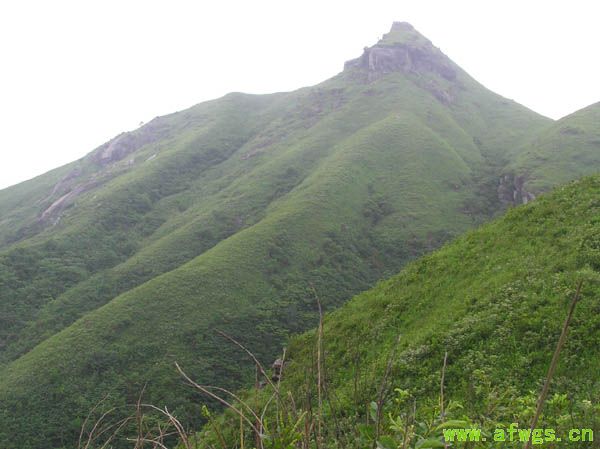 箕峰远眺.jpg