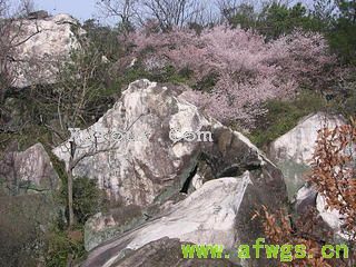 高岭山.jpg