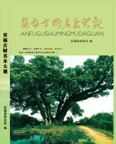 封面 副本 拷贝.jpg