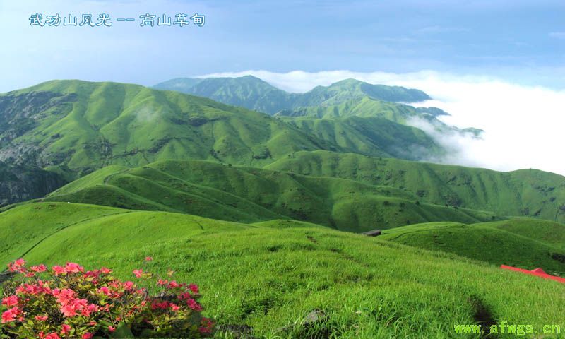 春到武功山.jpg