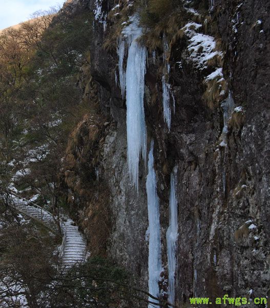 DSC_0097 拷贝.jpg