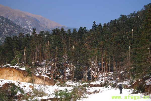 DSC_0012 拷贝.jpg