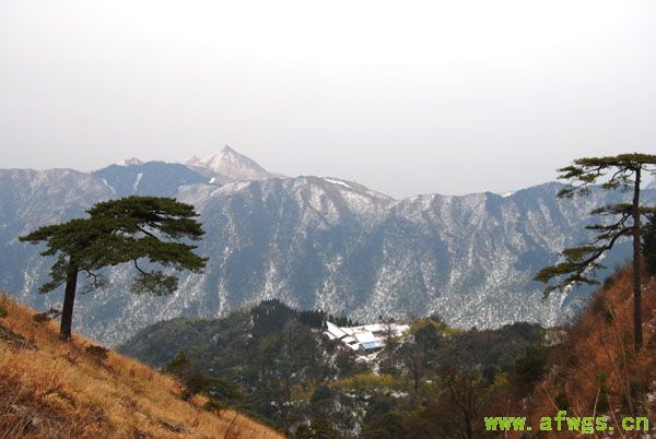 DSC_0121 拷贝.jpg
