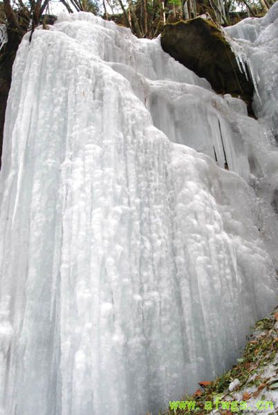 20080316_3e77ce01715d5fa9b267zkY4uaGvrQdx.jpg