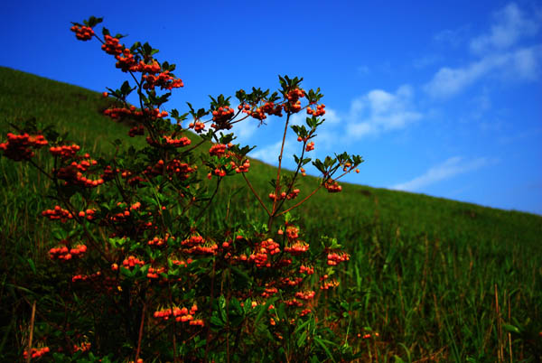 DSC_0060 拷贝.jpg