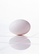 s001.jpg