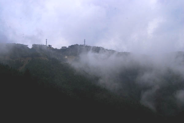 DSC_0236 拷贝.jpg