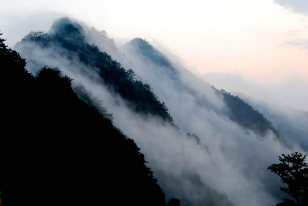 DSC_0088 拷贝.jpg