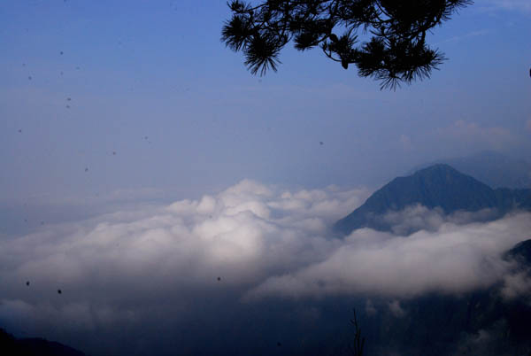 DSC_0197 拷贝.jpg