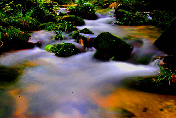 DSC_0011 拷贝.jpg