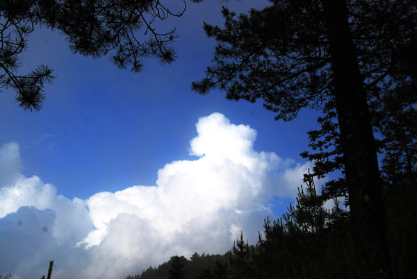 DSC_0027 拷贝.jpg