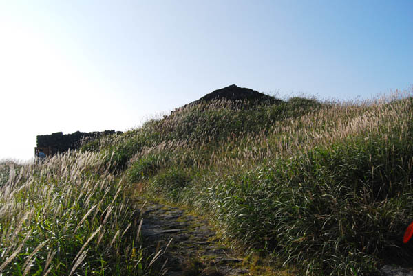DSC_0149 拷贝.jpg