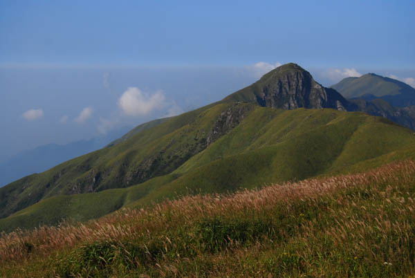DSC_0169 拷贝.jpg