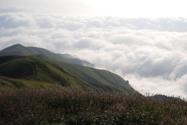 DSC_0144 拷贝.jpg
