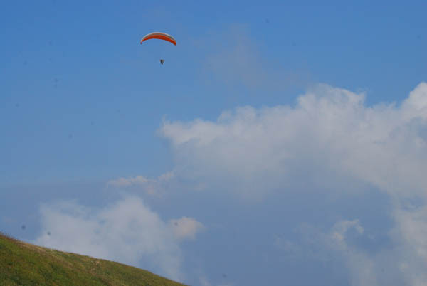 DSC_0185 拷贝.jpg