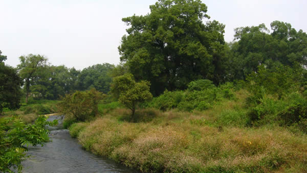 IMG_8899.jpg