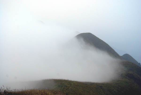 雾漫九龙山
