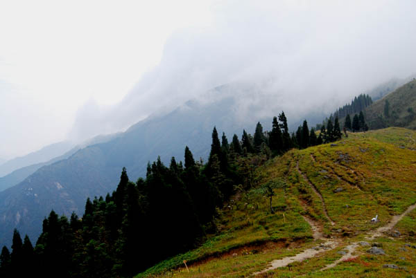 绿色九龙山