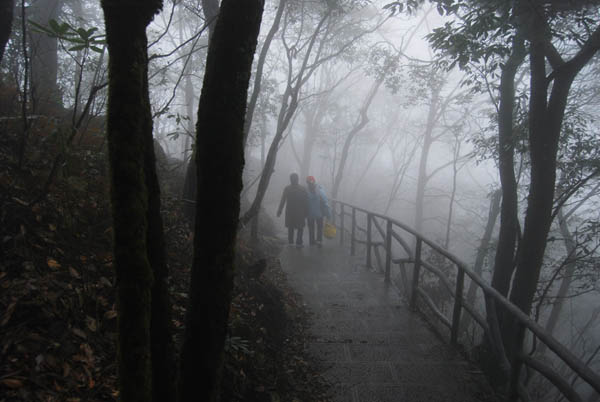 DSC_0023 拷贝.jpg