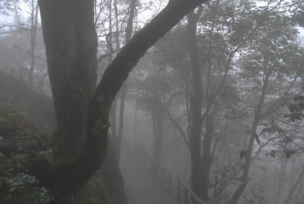 DSC_0017 拷贝.jpg