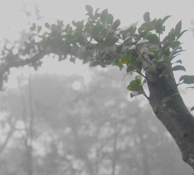 DSC_0034 拷贝.jpg