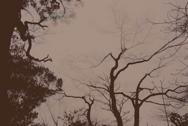 DSC_0031 拷贝.jpg