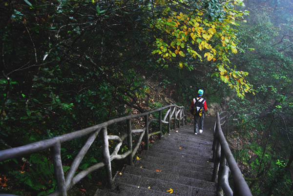 DSC_0080 拷贝.jpg